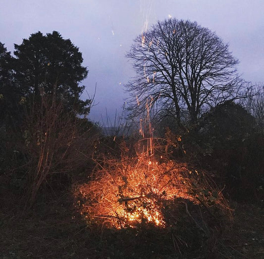 Winter Solstice Traditions